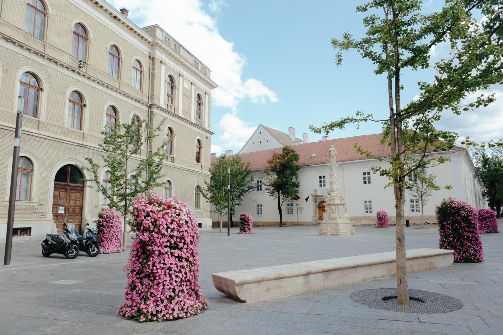 Contessa Cluj-Napoca