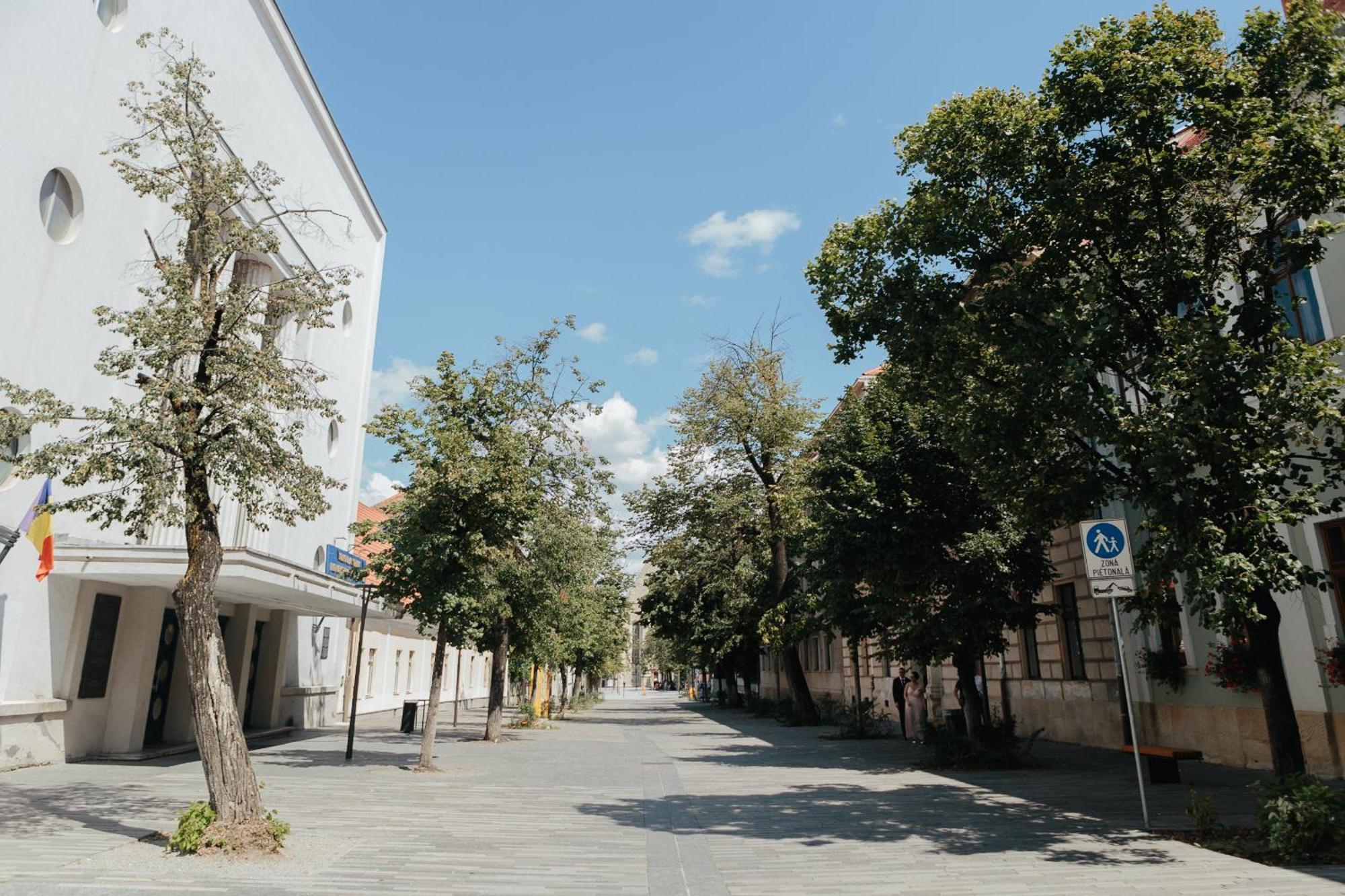 Contessa Apartment